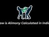 How is Alimony Calculated in India?