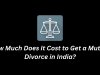 How Much Does It Cost to Get a Mutual Divorce in India?
